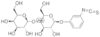B-D-lactopyranosylphenyl isothiocyanate