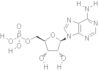 Adenosine monophosphate