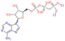 5'-O-[{[{[bis(chlorooxy)phosphoryl]methyl}(hydroxy)phosphoryl]oxy}(hydroxy)phosphoryl]adenosine