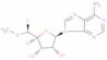 5'-deoxy-5'-fluoro-5'-(methylthio)adenosine