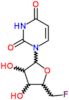 1-(5-deoxy-5-fluoropentofuranosyl)pyrimidine-2,4(1H,3H)-dione