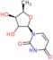 5'-Deoxyuridine