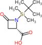 (2S)-1-[tert-butyl(dimethyl)silyl]-4-oxoazetidine-2-carboxylic acid