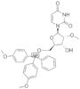 5'-O-(4,4'-DIMETHOXYTRITYL)-2'-O-METHYLURIDIN