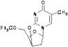 (2R,3R,5R)-2,3-Dihydro-8-methyl-3-[(triphenylmethoxy)methyl]-2,5-methano-5H,9H-pyrimido[2,1-b][1,5…