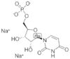 Uridine 5-monophosphate, disodium salt