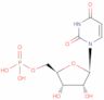 uridine 5-monophosphate