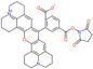 1H,5H,11H,15H-Xantheno[2,3,4-ij:5,6,7-i'j′]diquinolizin-18-io, 9-[2-carboxi-5-[[(2,5-dioxo-1-pir...