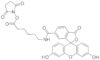 fluorescein-5(6)-carboxamidocaproic acid N-succinimidyl est.