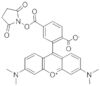 6-CARBOXYTETRAMETHYLRHODAMINE N-HYDROXYSUCCINIMIDE ESTER