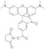 5(6)-carboxytetramethylrhodamine N-suc-cinimidyl ester