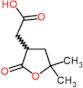 (5,5-dimethyl-2-oxotetrahydrofuran-3-yl)acetic acid