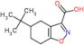 5-tert-butyl-4,5,6,7-tetrahydro-1,2-benzoxazole-3-carboxylic acid