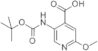 5-(TERT-BUTOXYCARBONYLAMINO)-2-METHOXYPYRIDINE-4-CARBOXYLIC ACID