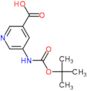 5-[(tert-butoxycarbonyl)amino]pyridine-3-carboxylic acid