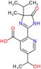 5-(1-hydroxyethyl)-2-[4-methyl-5-oxo-4-(propan-2-yl)-4,5-dihydro-1H-imidazol-2-yl]pyridine-3-carboxylic acid