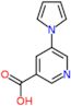 5-(1H-pyrrol-1-yl)pyridine-3-carboxylic acid