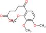 5-oxo-5-(2,3,4-trimethoxyphenyl)pentanoic acid