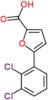 5-(2,3-dichlorophenyl)furan-2-carboxylic acid