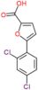 5-(2,4-Dichlorophenyl)-2-furoic acid