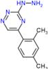 [5-(2,4-dimethylphenyl)-1,2,4-triazin-3-yl]hydrazine