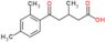 5-(2,4-dimethylphenyl)-3-methyl-5-oxo-pentanoic acid