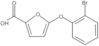 5-(2-Bromophenoxy)-2-furancarboxylic acid