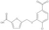 5-[(2-Chloro-5-nitrophenoxy)methyl]-2-furancarboxylic acid