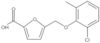 5-[(2-Chloro-6-methylphenoxy)methyl]-2-furancarboxylic acid