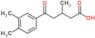 5-(3,4-dimethylphenyl)-3-methyl-5-oxo-pentanoic acid