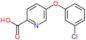 5-(3-chlorophenoxy)pyridine-2-carboxylic acid