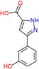 3-(3-hydroxyphenyl)-1H-pyrazole-5-carboxylic acid