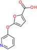 5-(pyridin-3-yloxy)furan-2-carboxylic acid