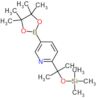 5-(4,4,5,5-Tetramethyl-1,3,2-dioxaborolan-2-yl)-2-{2-[(trimethylsilyl)oxy]-2-propanyl}pyridine