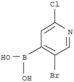 Boronic acid,B-(5-bromo-2-chloro-4-pyridinyl)-