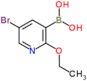 (5-bromo-2-ethoxy-3-pyridyl)boronic acid
