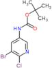 tert-butyl (5-bromo-6-chloropyridin-3-yl)carbamate