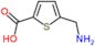 5-(aminomethyl)thiophene-2-carboxylic acid