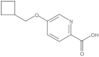 5-(Cyclobutylmethoxy)-2-pyridinecarboxylic acid