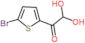 1-(5-Bromo-2-thienyl)-2,2-dihydroxyethanone