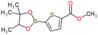 Methyl 5-(4,4,5-trimethyl-1,3,2-dioxaborolan-2-yl)thiophene-2-carboxylate