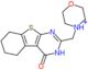 2-(morpholin-4-ylmethyl)-5,6,7,8-tetrahydro[1]benzothieno[2,3-d]pyrimidin-4(3H)-one