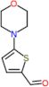 5-(pipéridin-1-yl)thiophène-2-carbaldéhyde