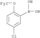 Boronic acid,B-[5-chloro-2-(trifluoromethoxy)phenyl]-