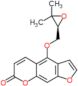 4-{[(2S)-3,3-dimethyloxiran-2-yl]methoxy}-7H-furo[3,2-g]chromen-7-one