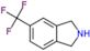 5-(trifluoromethyl)-2,3-dihydro-1H-isoindole