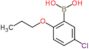 B-(5-Chloro-2-propoxyphenyl)boronic acid