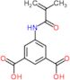 5-[(2-methylacryloyl)amino]benzene-1,3-dicarboxylic acid