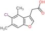 (5-chloro-4,6-dimethyl-1-benzofuran-3-yl)acetic acid