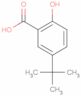 5-(1,1-Dimethylethyl)-2-hydroxybenzoic acid